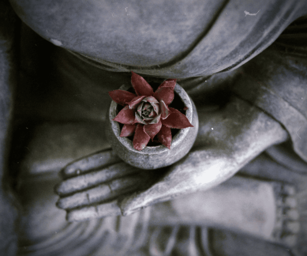 Meditation im Buddhismus